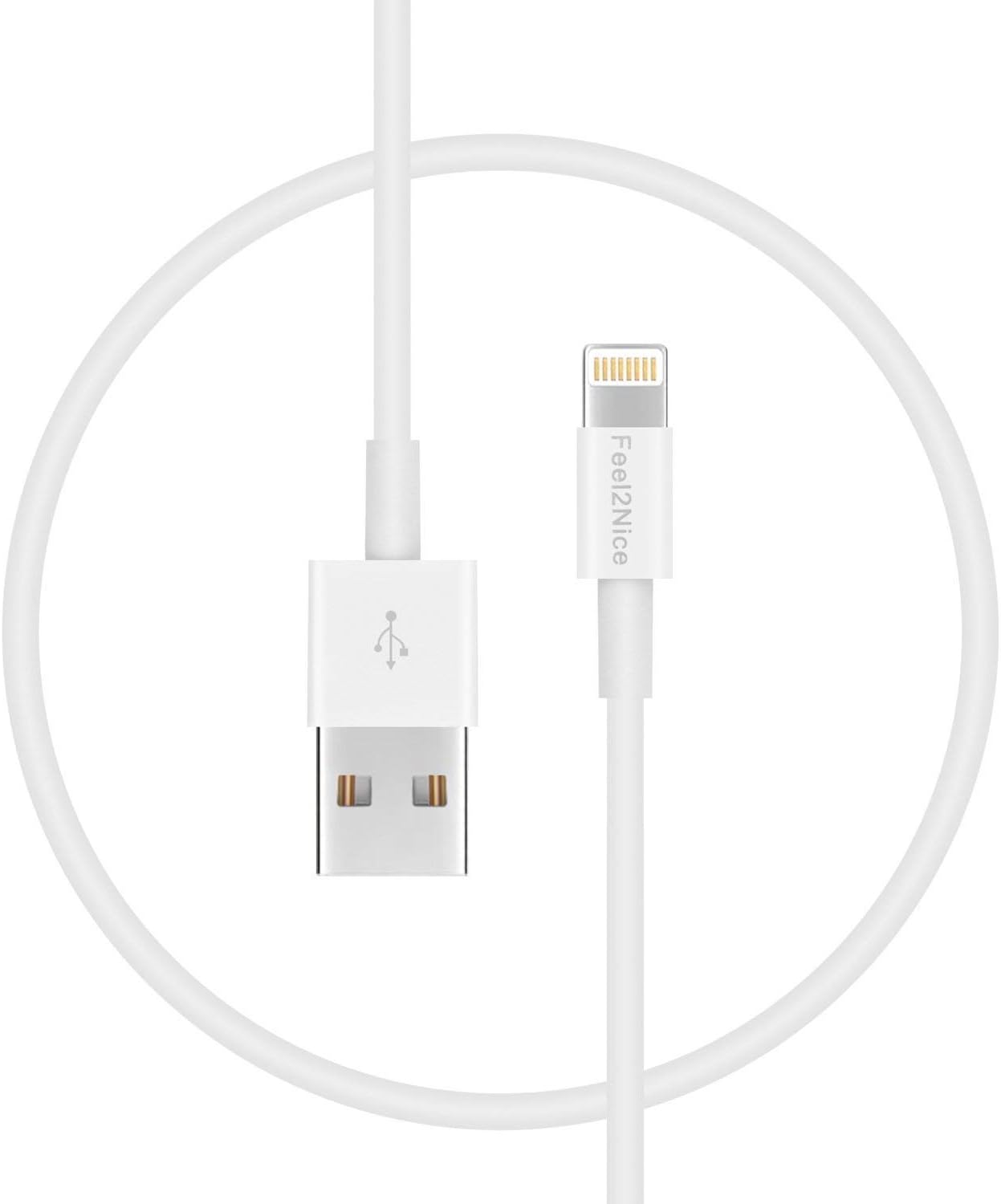 USB C to Lightning Cable