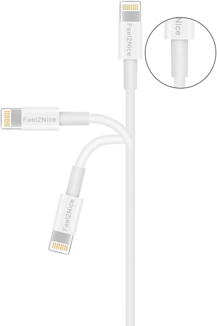 USB C to Lightning Cable